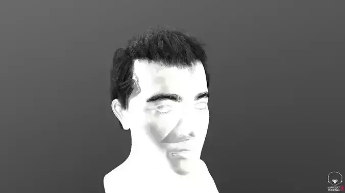 Real-time hair 5 Free low-poly 3D model