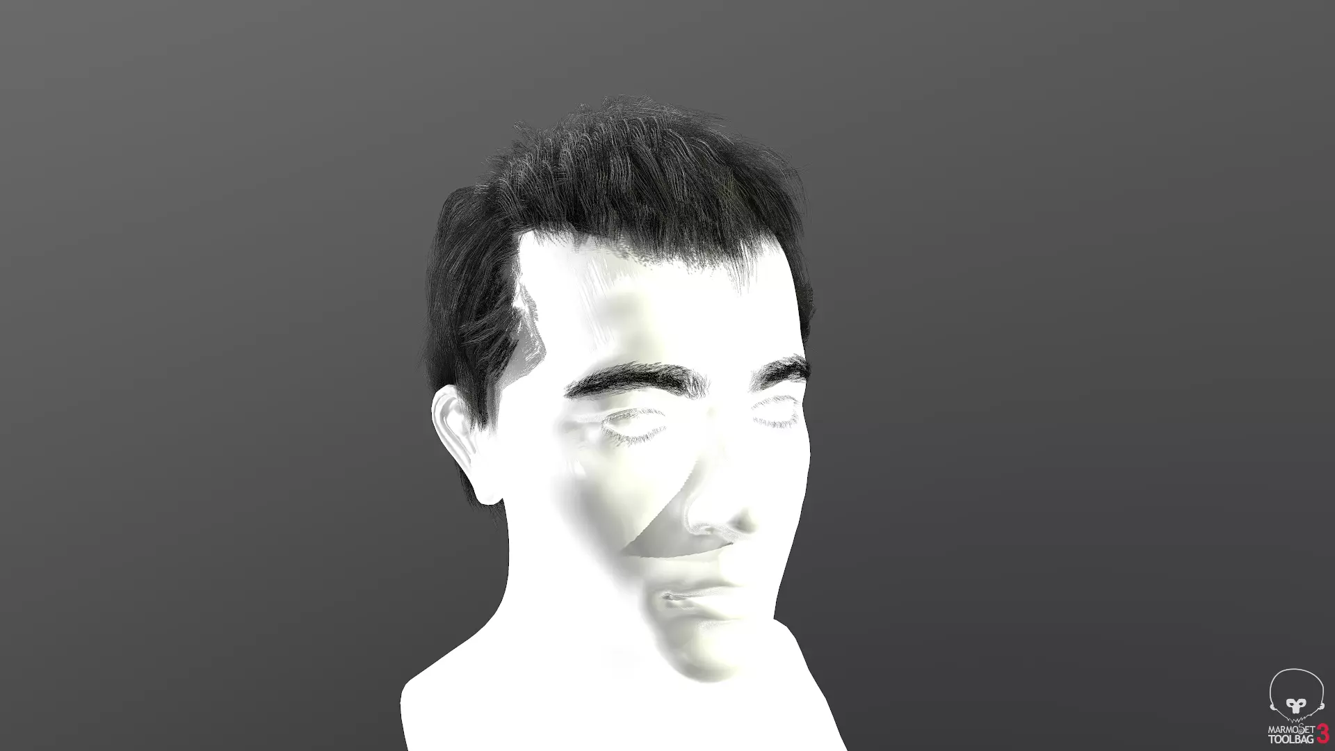 Real-time hair 5 Free low-poly 3D model