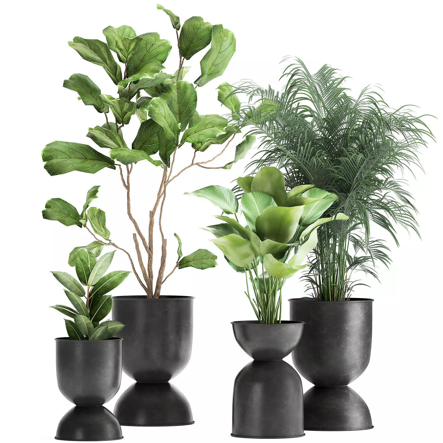 Plants in a black pot for the interior 1041 3D model