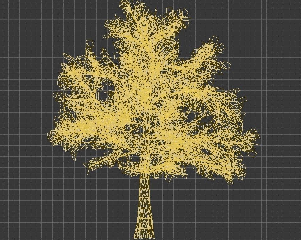 Maple tree Free low-poly 3D model_6