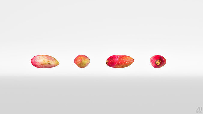 Pistachio 3D model 5