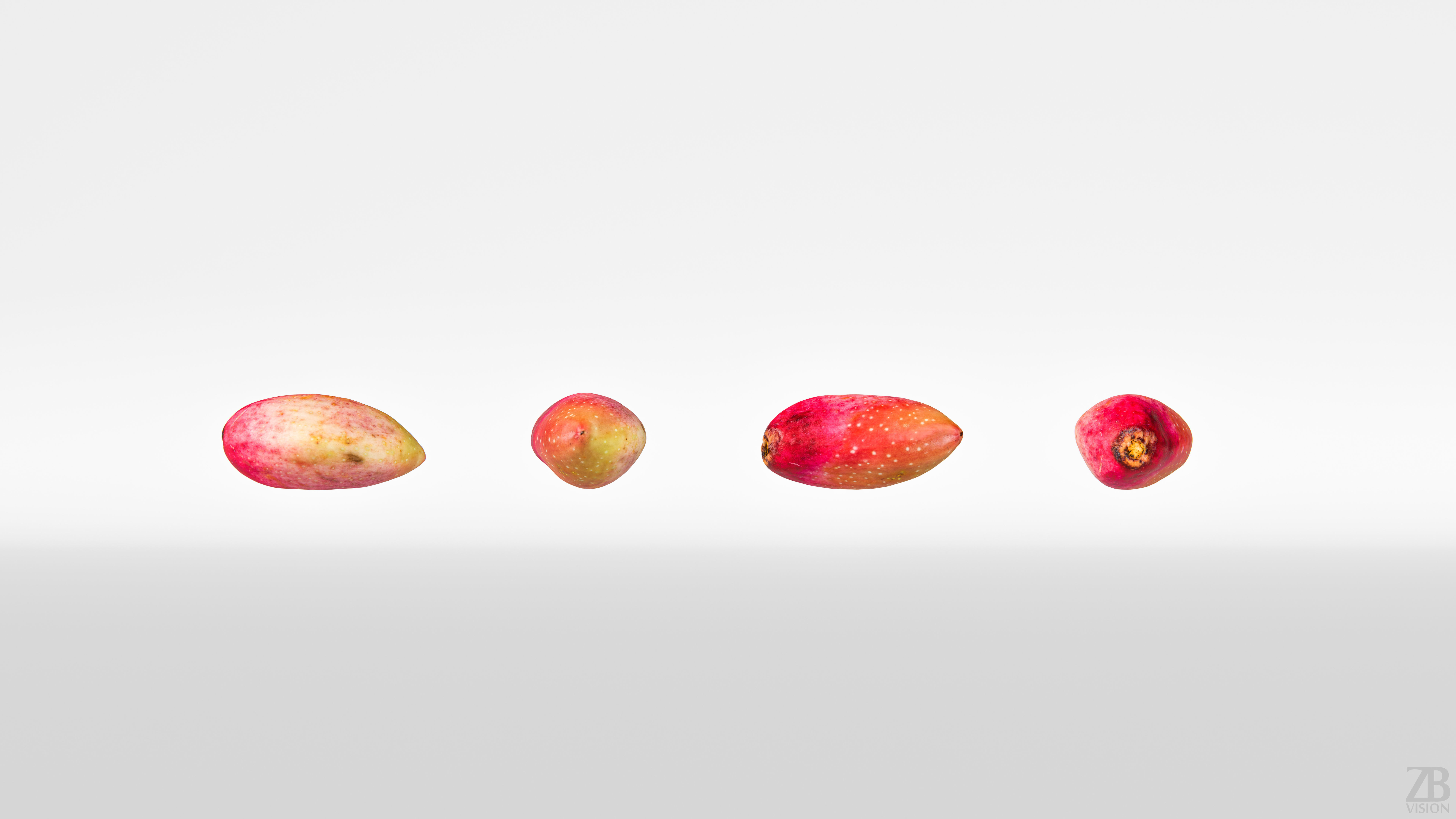 Pistachio 3D model_4