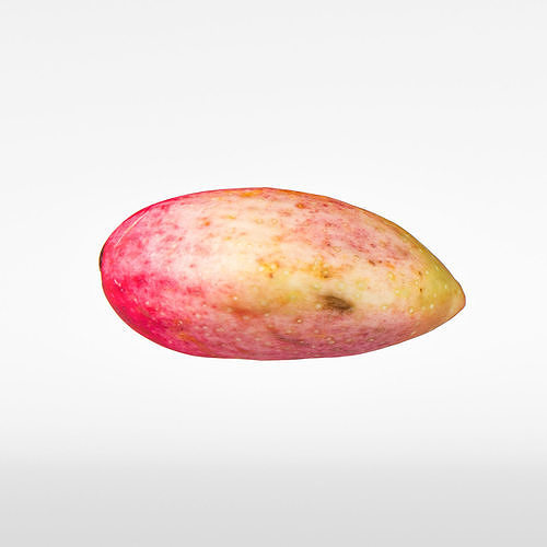 Pistachio 3D model 6