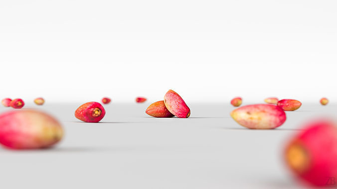 Pistachio 3D model 2