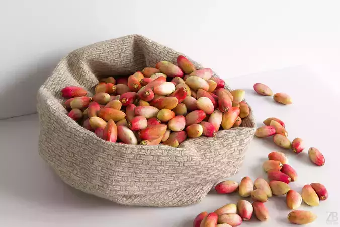Pistachio 3D model