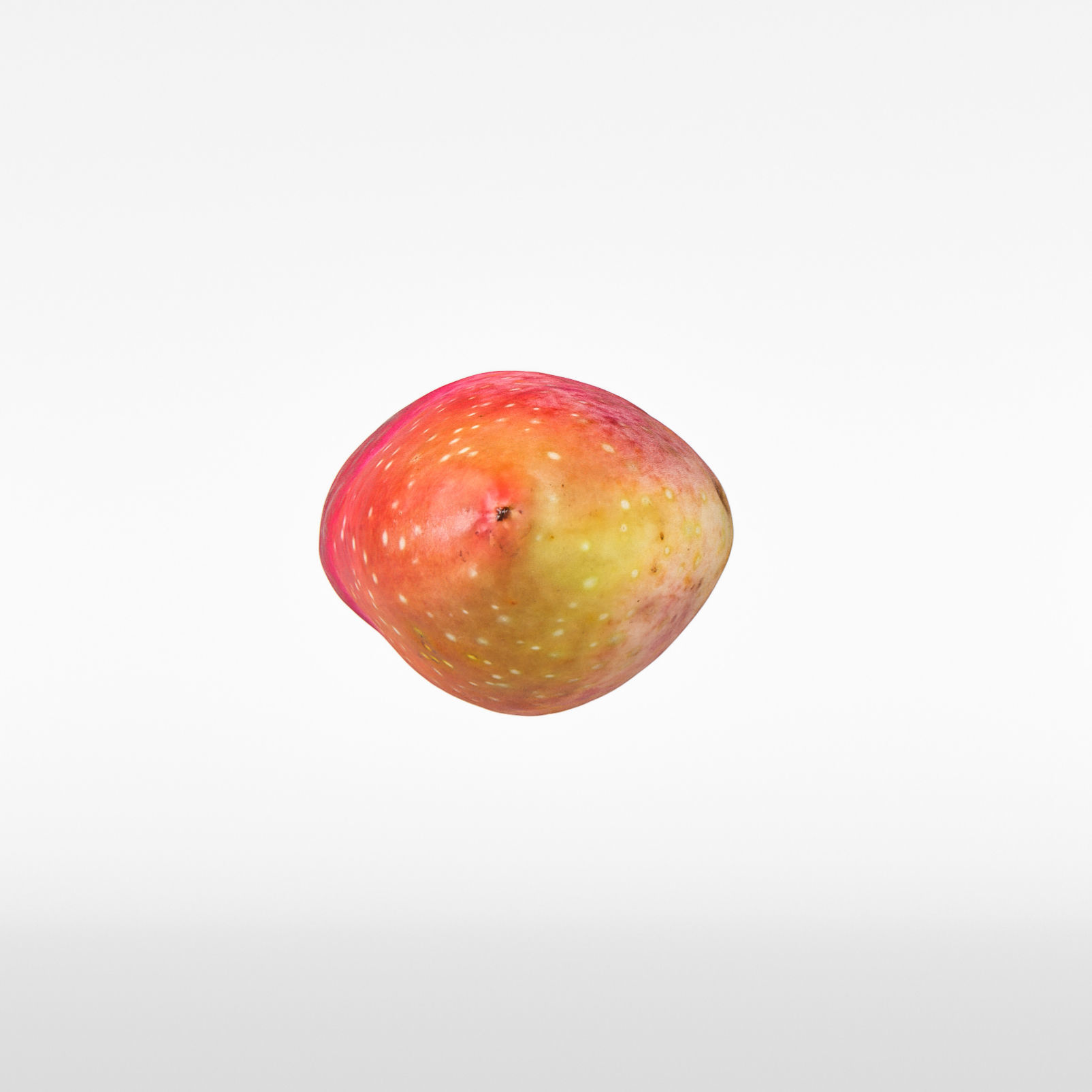 Pistachio 3D model_6