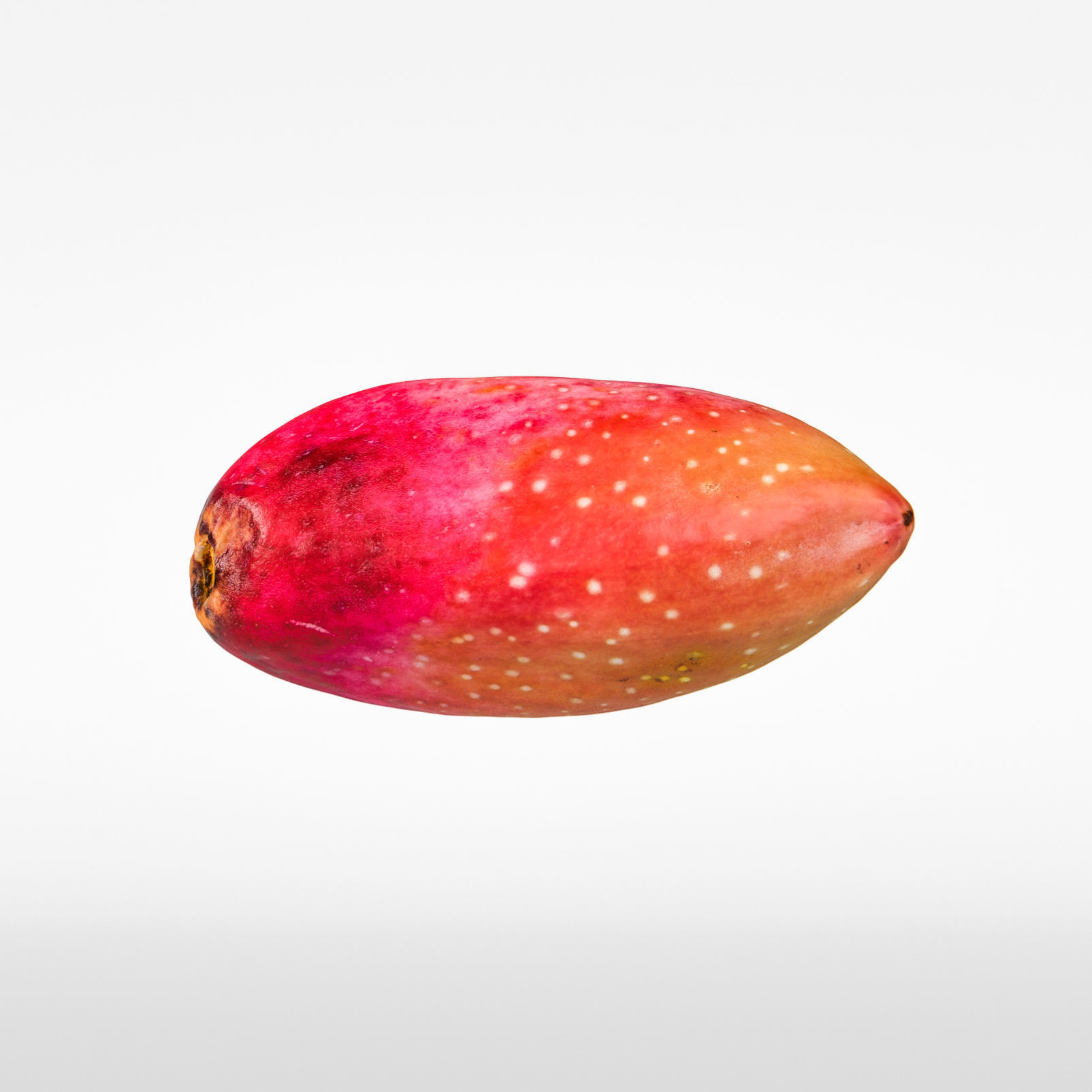 Pistachio 3D model_7