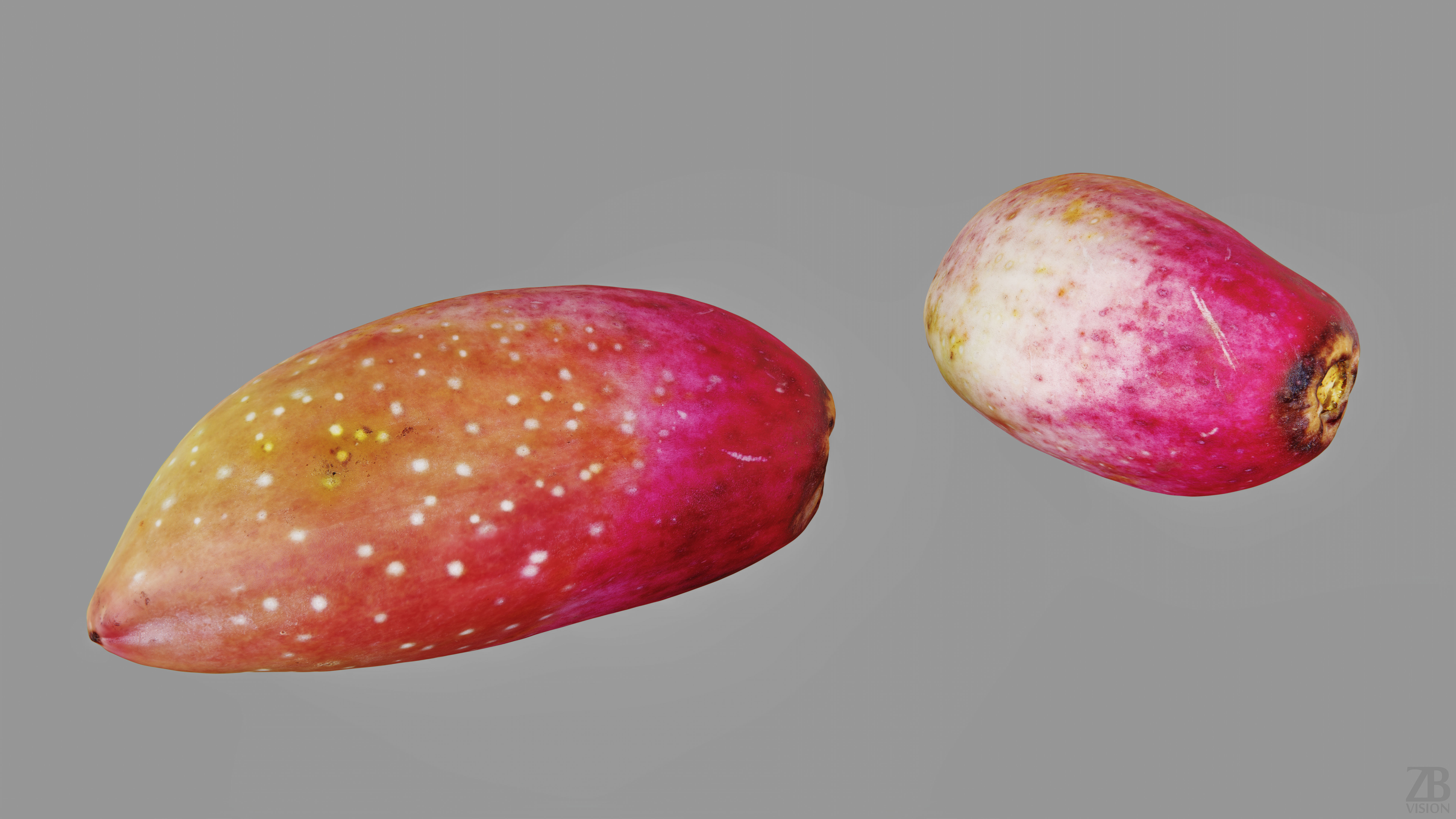 Pistachio 3D model_12