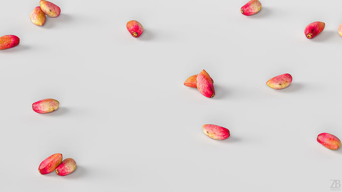 Pistachio 3D model 3