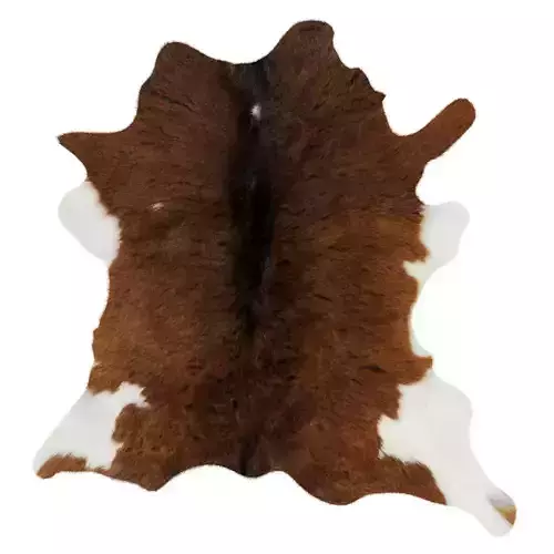 Animal skin rug 13