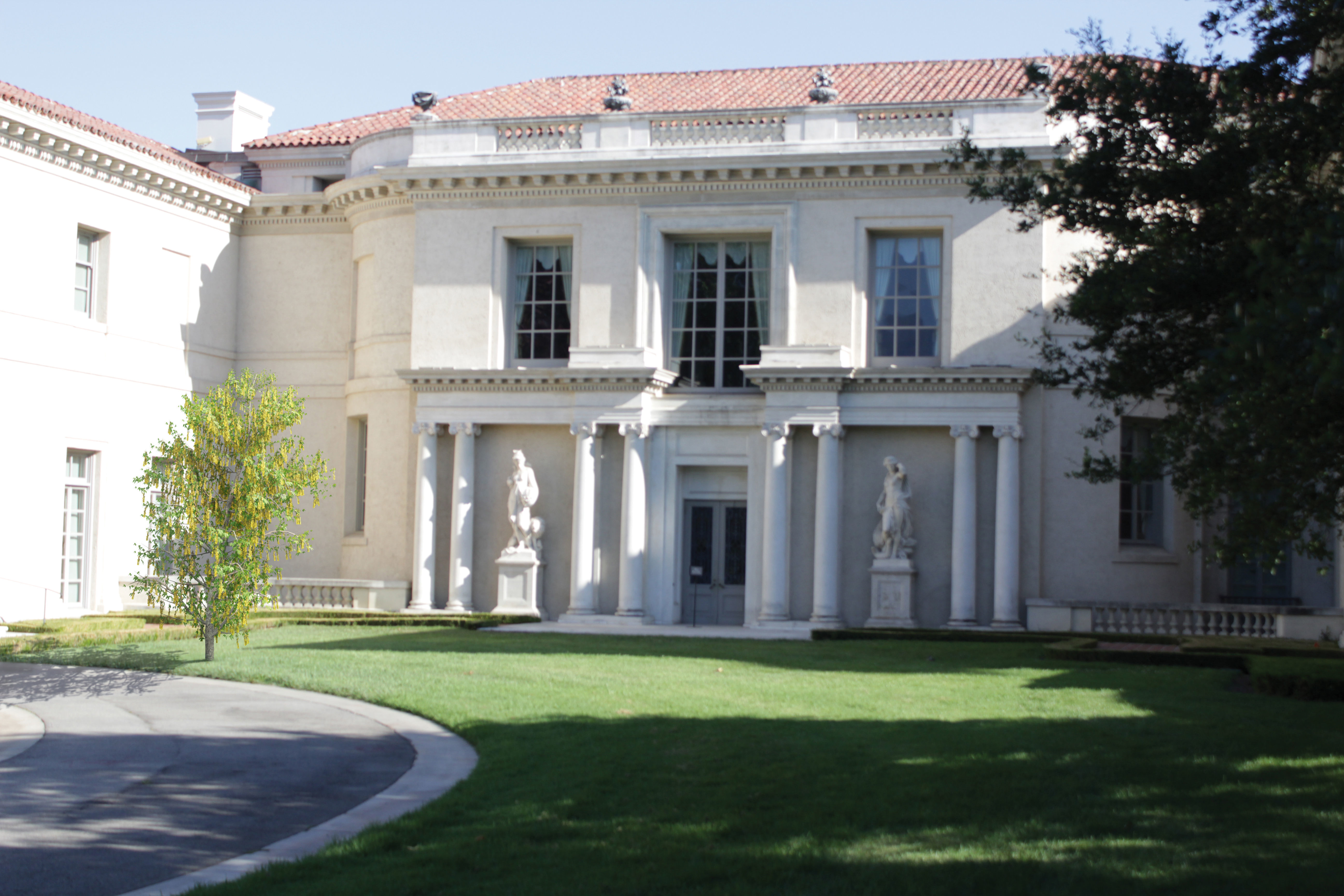 2021 PBR Golden Chain Collection - Laburnum Anagyroides  3D model_7