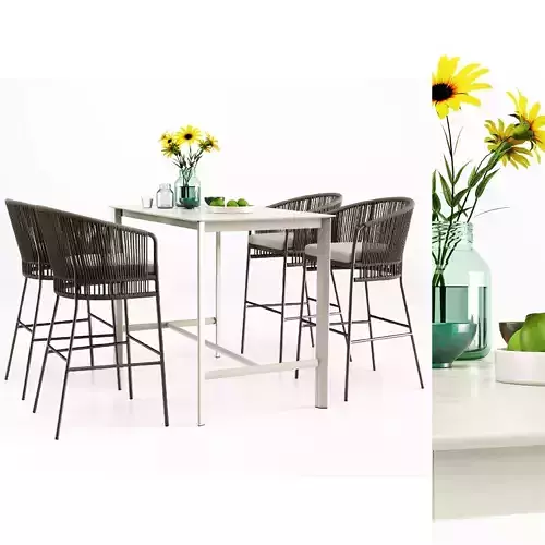 Modern Furniture  Set  501