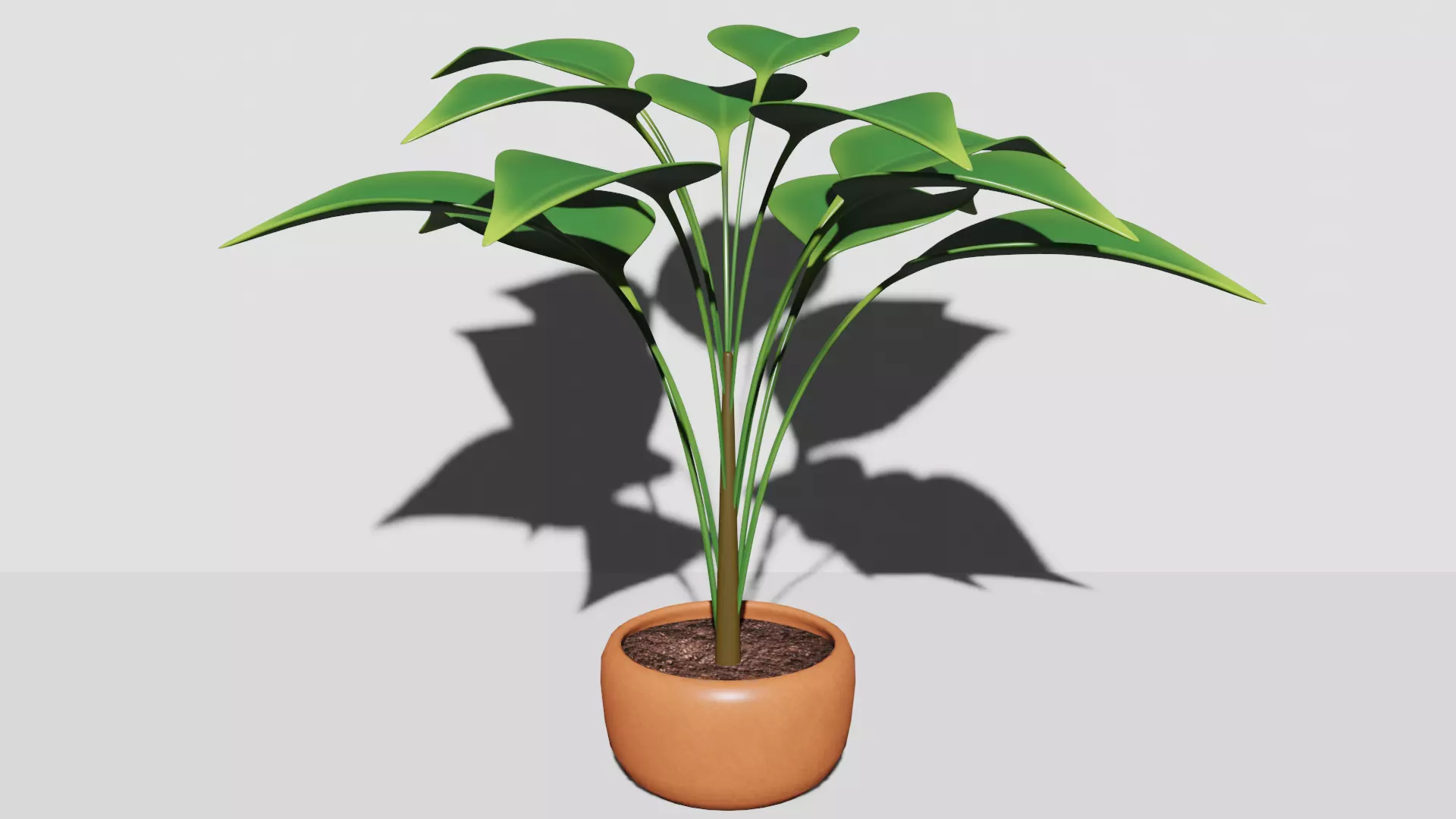 Potted Plants Free 3D model
