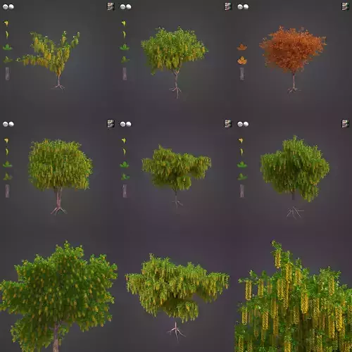 2021 PBR Alpine Laburnum Collection - Laburnum Alpinium  3D model