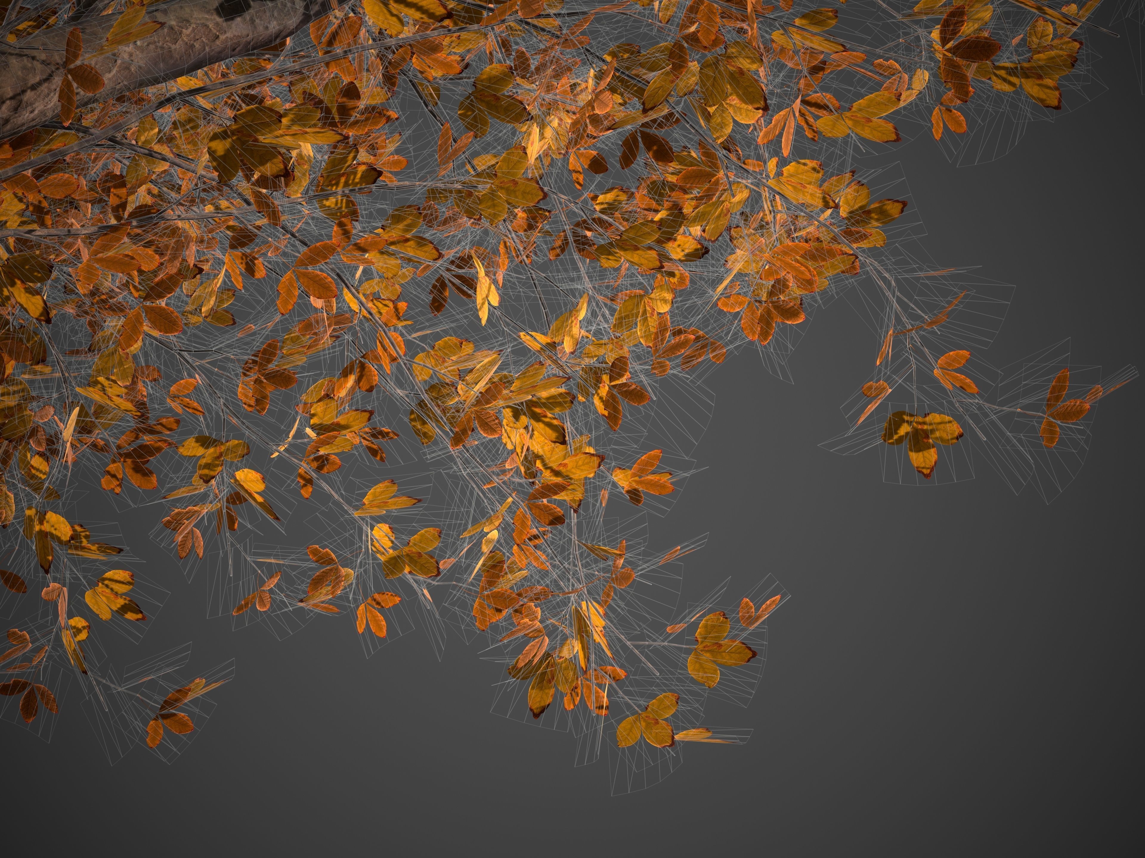 2021 PBR Alpine Laburnum Collection - Laburnum Alpinium 3D model_10