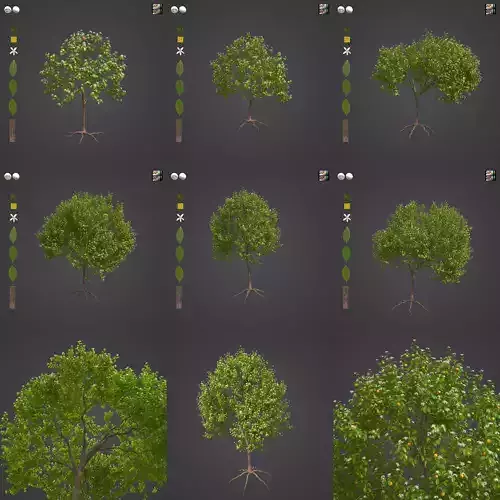 2021 PBR Lemon Tree Collection - Citrus Limon 3D model