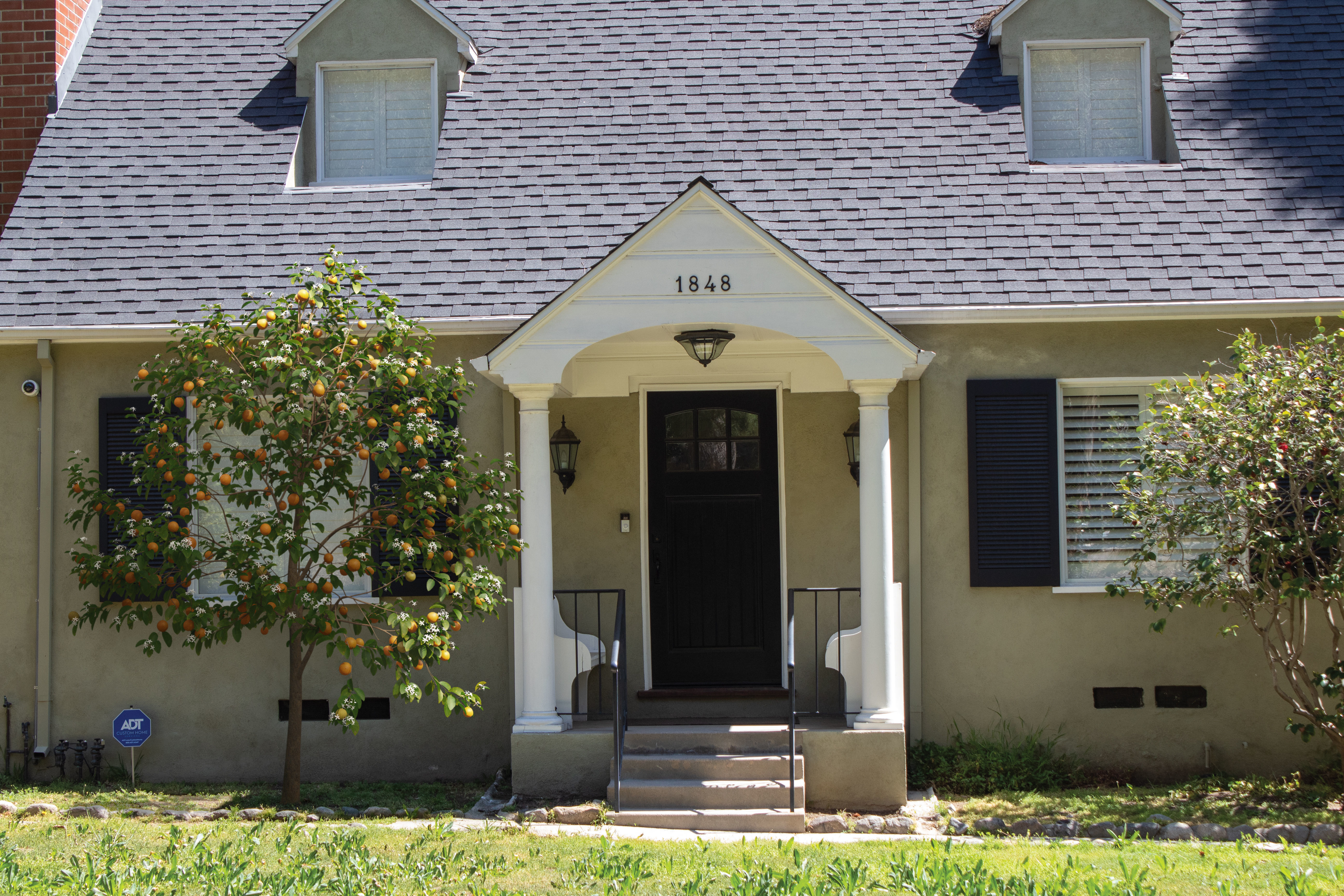 2021 PBR Sweet Orange Collection - Citrus Sinensis 3D model_2