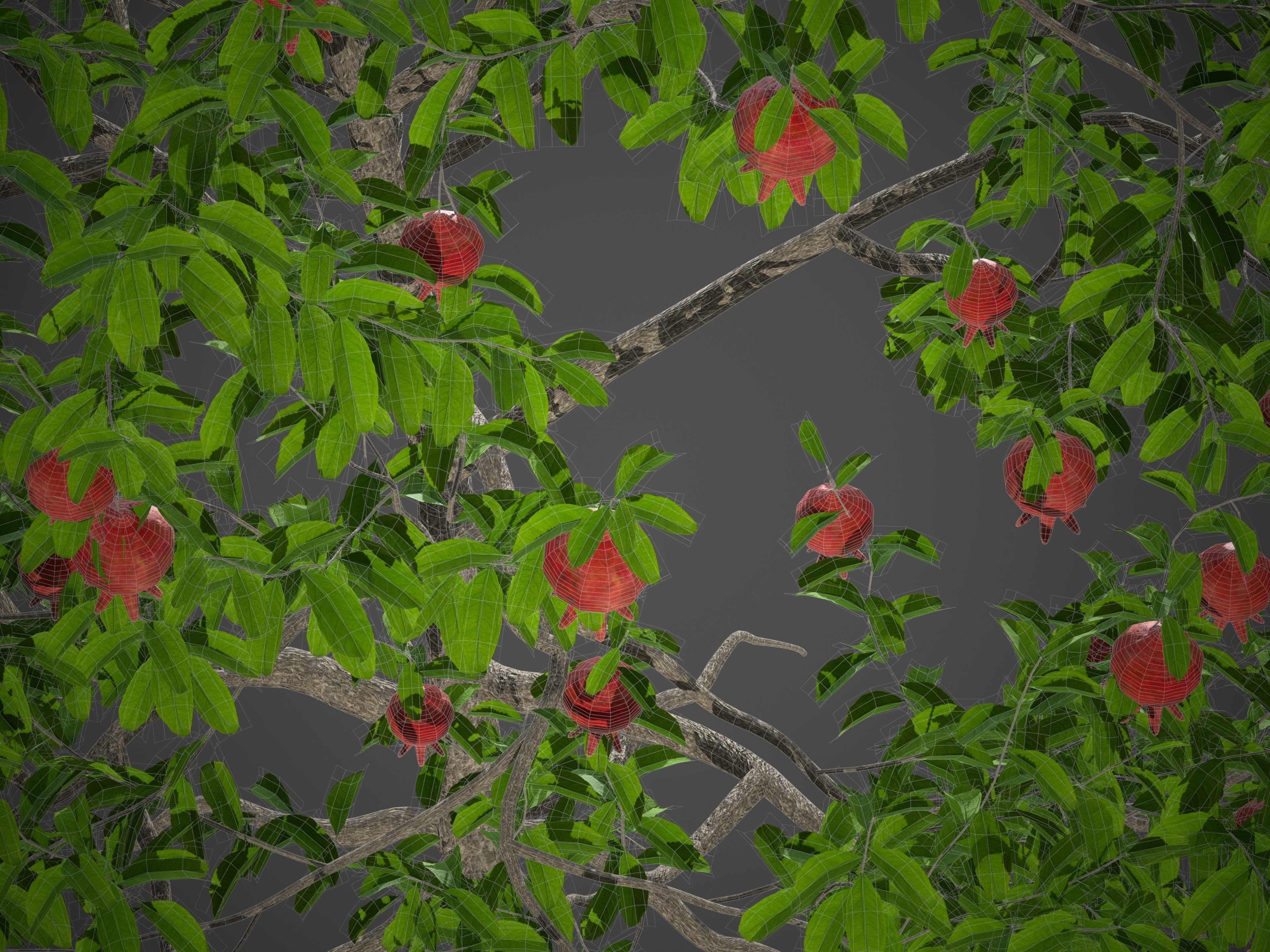 2021 PBR Pomegranate Collection - Punica Granatum 3D model_9