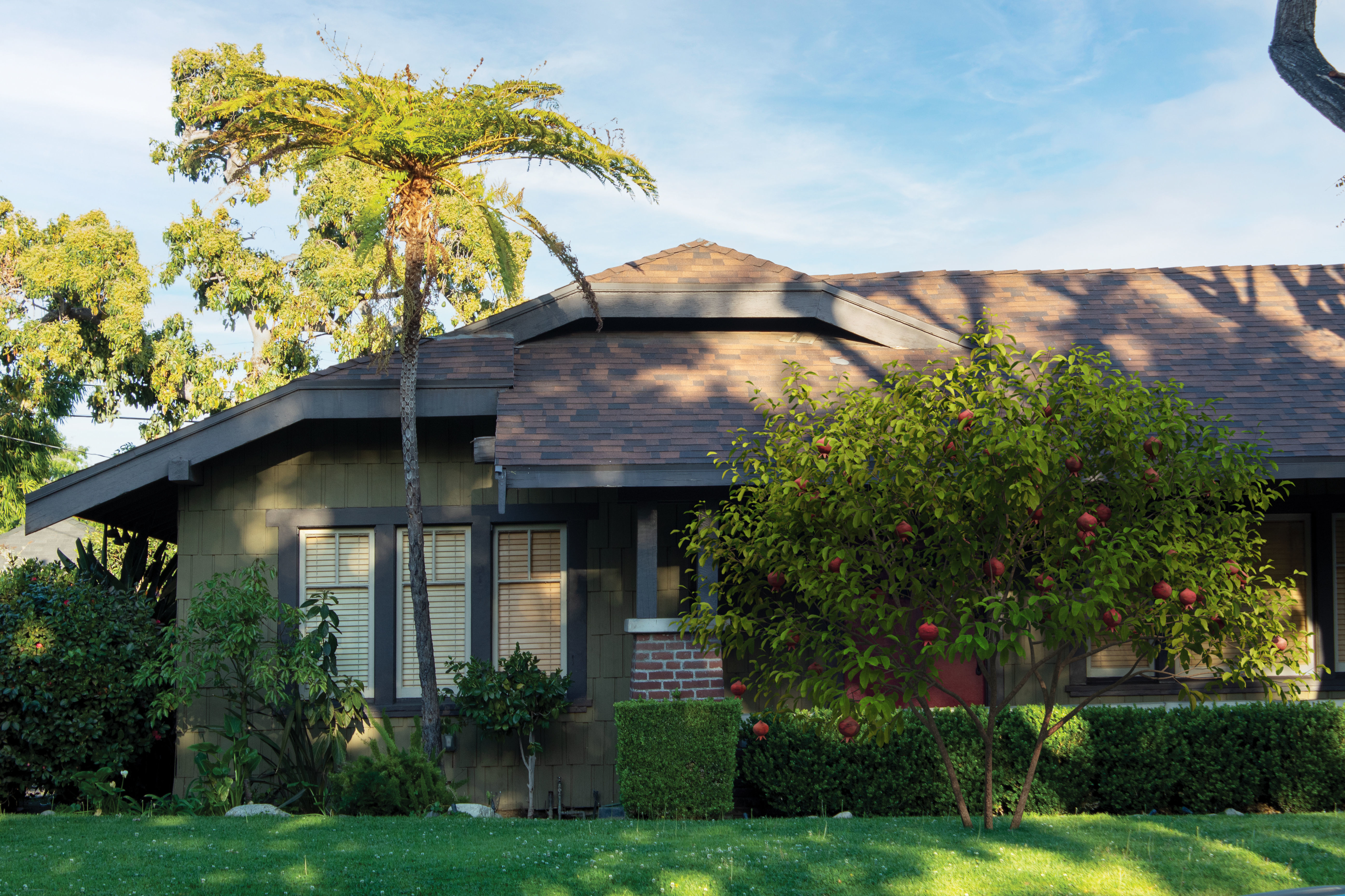 2021 PBR Pomegranate Collection - Punica Granatum 3D model_2