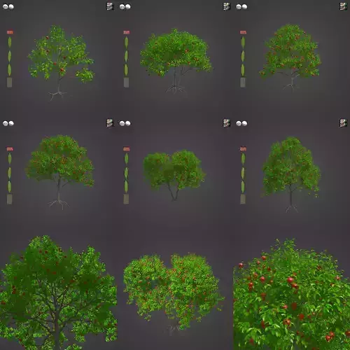 2021 PBR Pomegranate Collection - Punica Granatum 