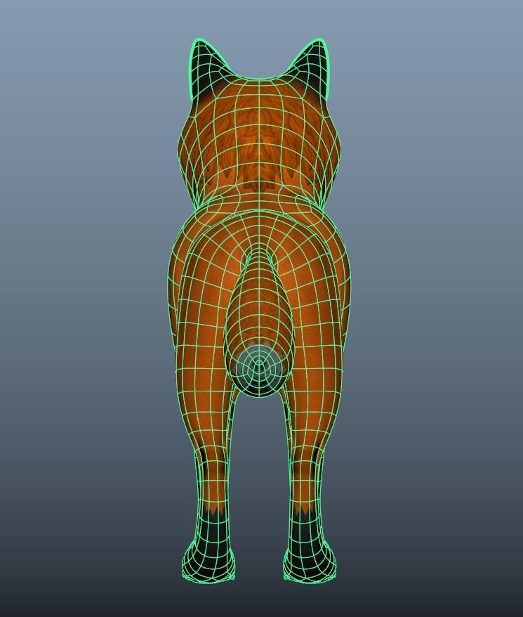 Cartoon fox Low-poly 3D model_6