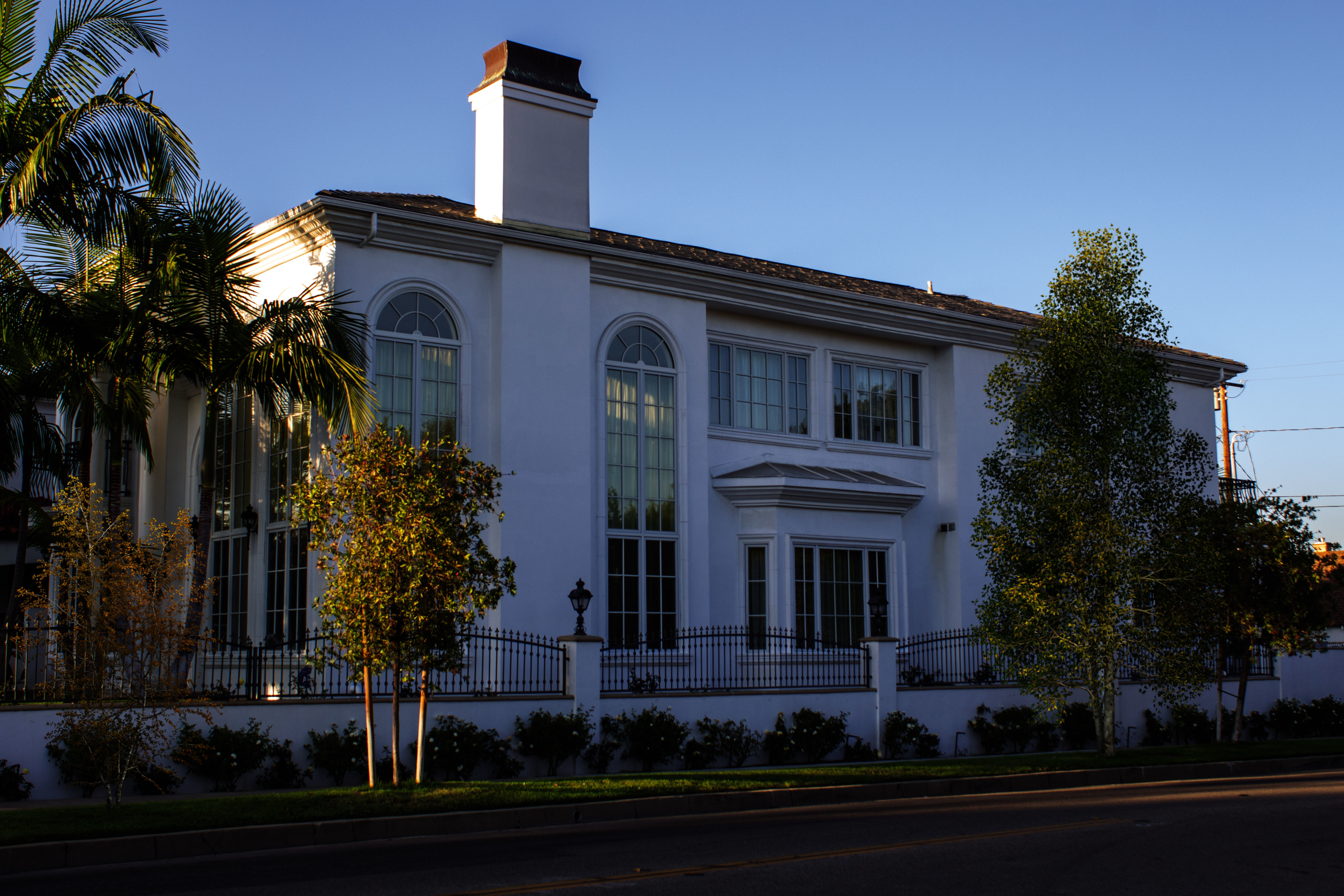 2021 PBR Grey Birch Collection - Betula Populifolia 3D model_2