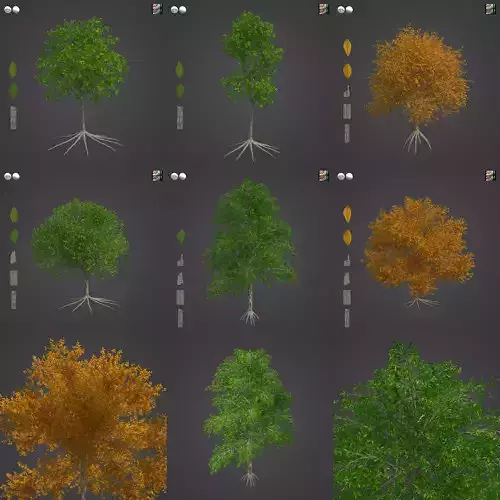 2021 PBR Shagbark Hickory Collection - Carya Ovata