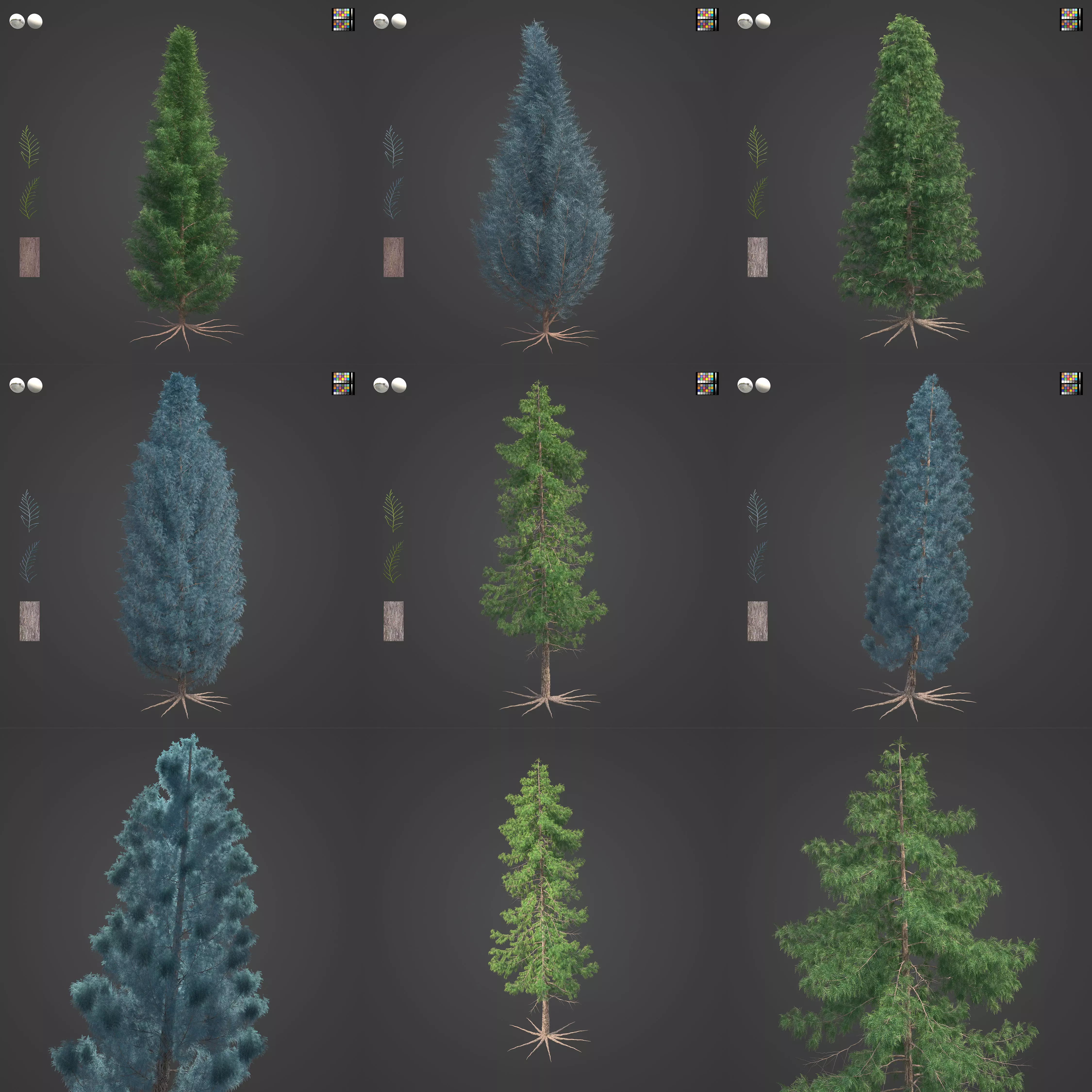 2021 PBR Lawsons False Cedar - Chamaecyparis Lawsoniana 3D model_0