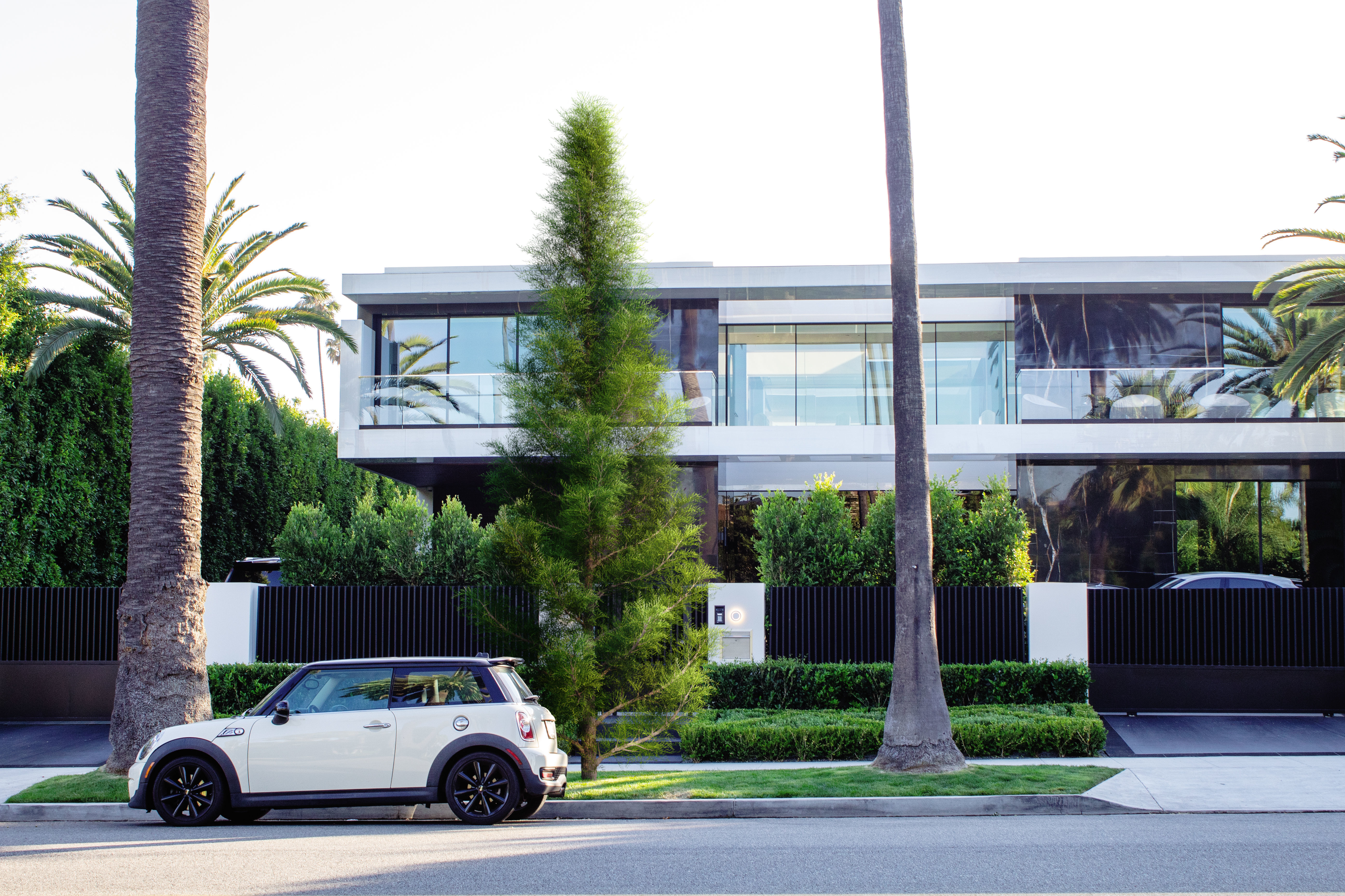 2021 PBR Lawsons False Cedar - Chamaecyparis Lawsoniana 3D model_2