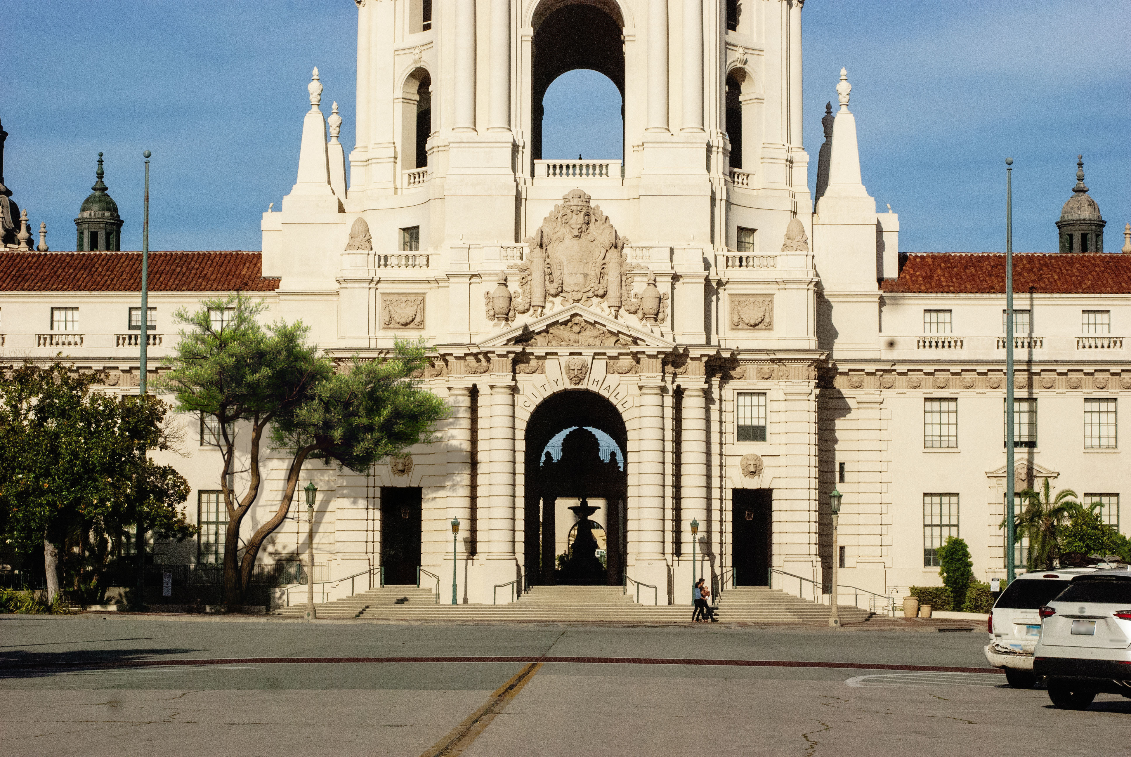 2021 PBR Monterey Cypress Collection - Cupressus Macrocarpa 3D model_2