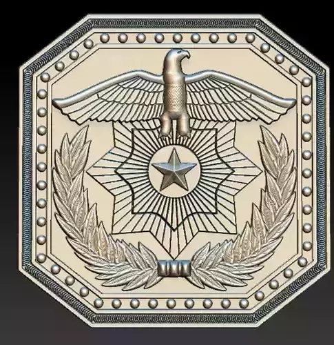 madalion military badge with eagle and laurel