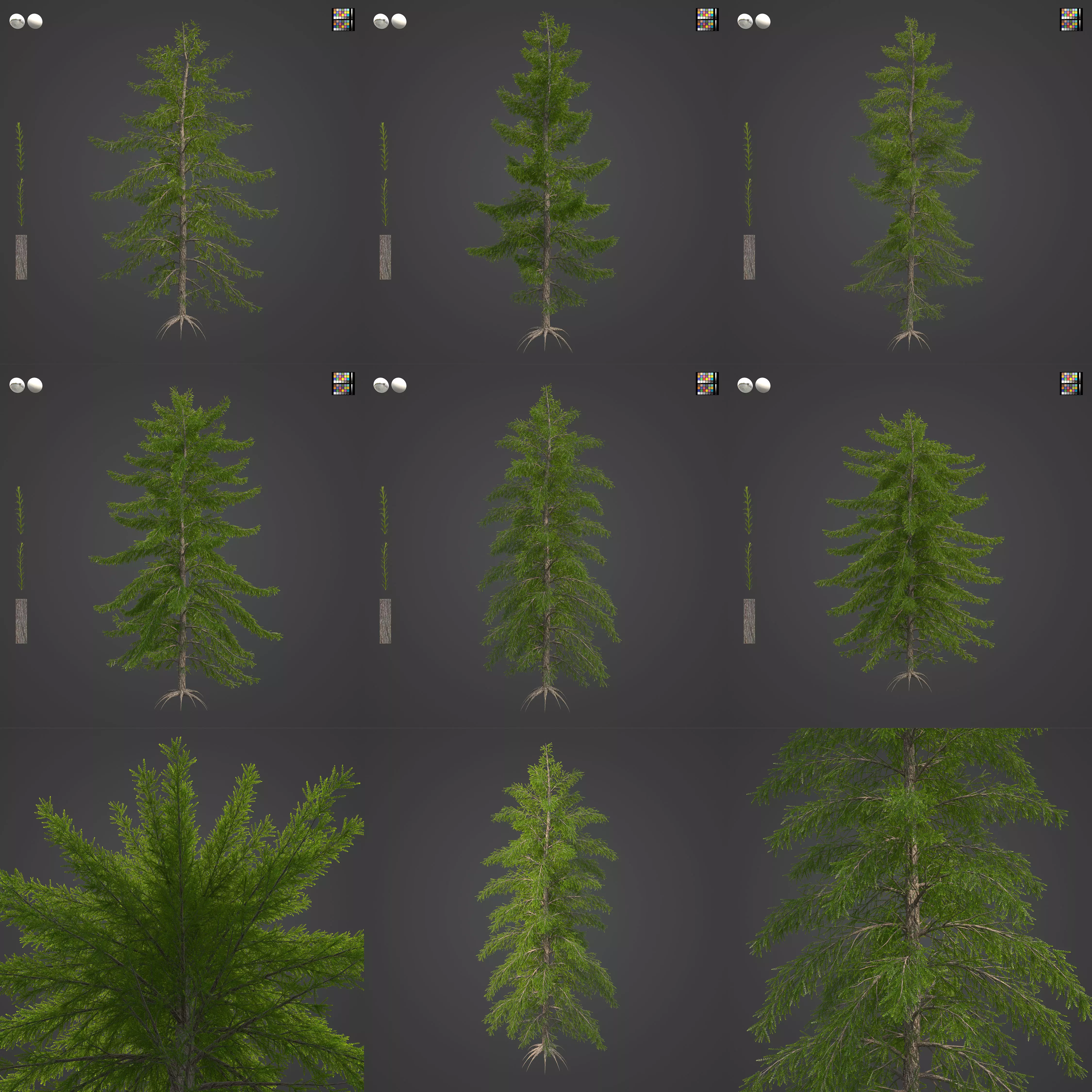 2021 PBR European Larch Collection - Larix Decidua 3D model_0