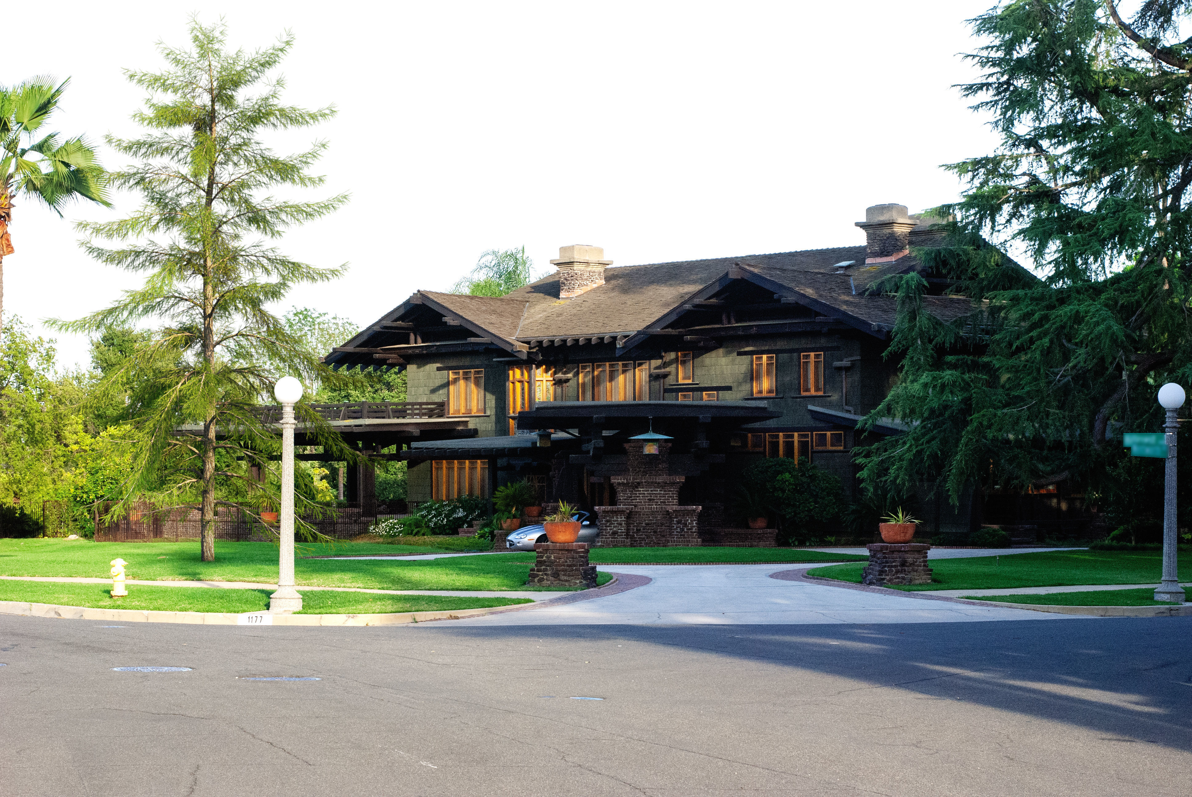 2021 PBR European Larch Collection - Larix Decidua 3D model_2