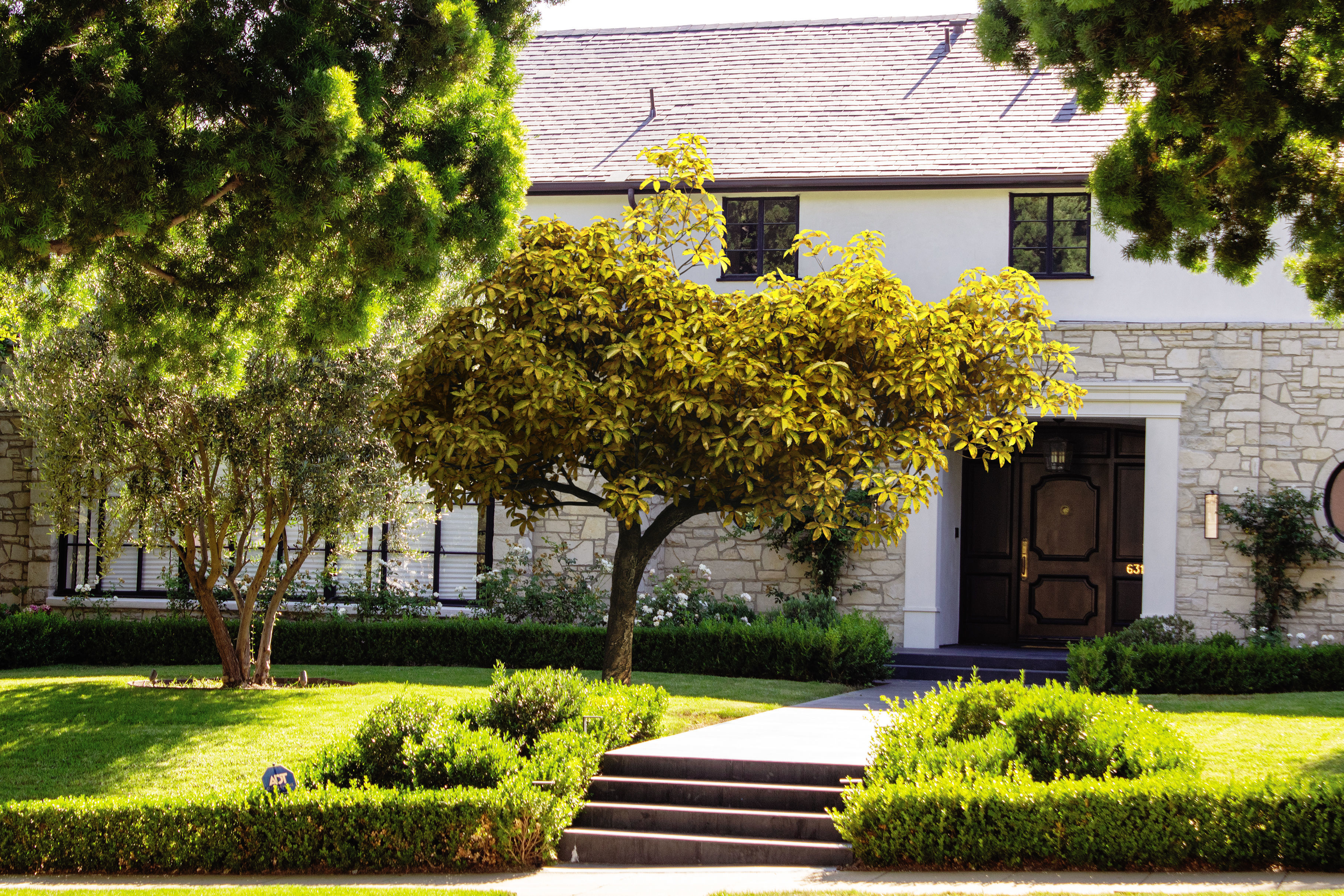 2021 PBR Medlar Collection - Mespilus Germanica 3D model_2