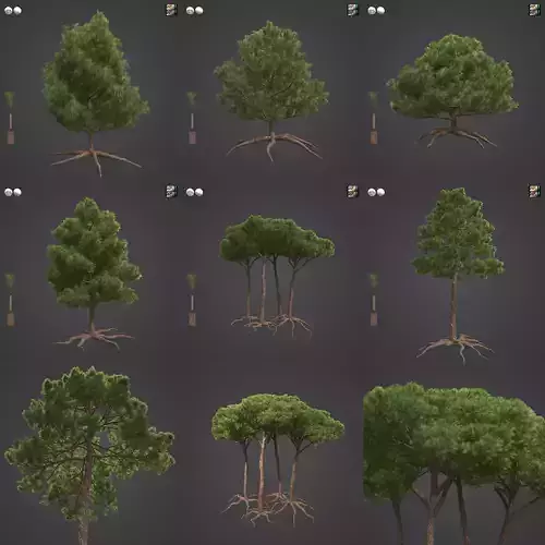 2021 PBR Sea Pine Collection - Pinus Pinaster