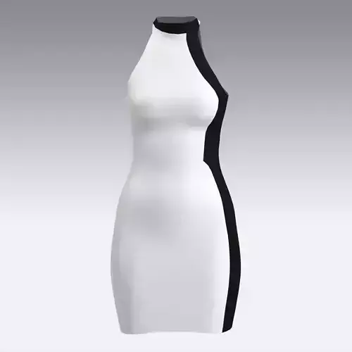 DRESS BLACK AND WHITE MINI DRESS COLOR BLOCK