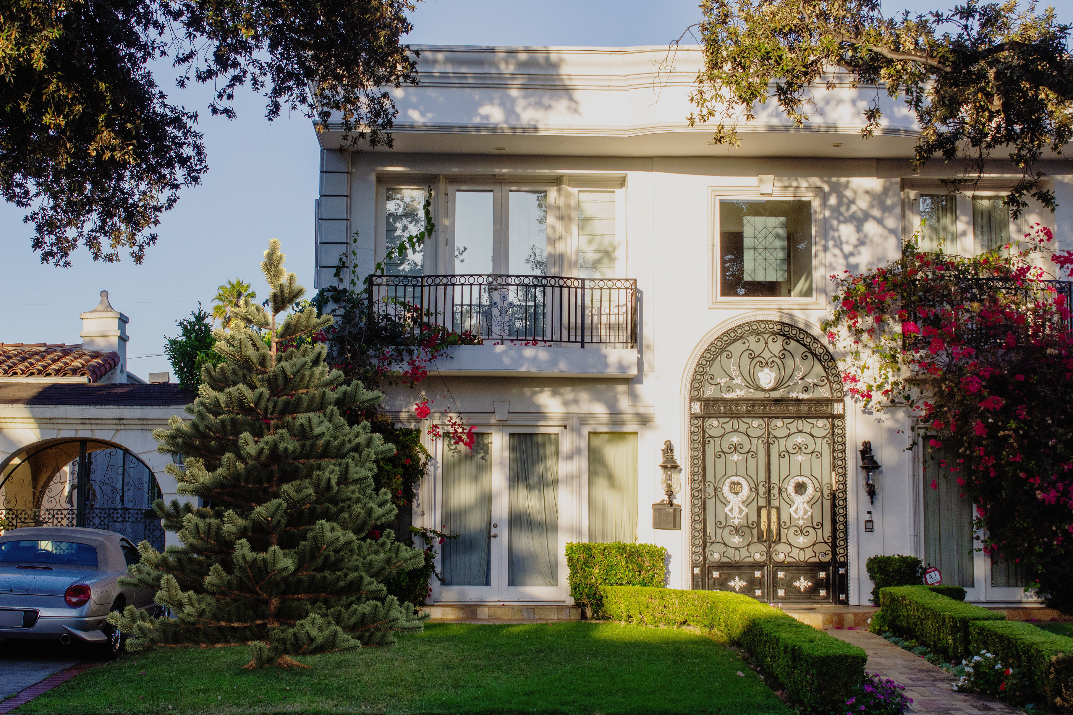 2021 PBR Subalpine Fir Collection - Abies Lasiocarpa 3D model_2