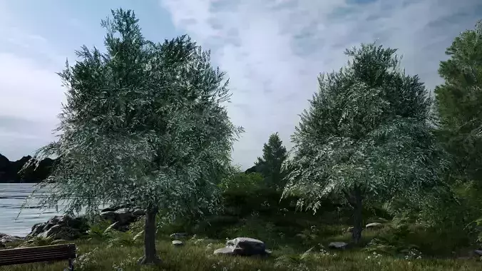 Nature Assets - Bird Cherry Tree Low-poly 3D model