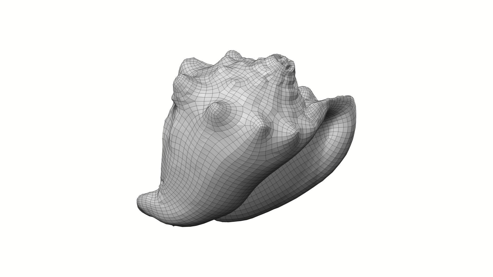 White Seashell Raw Scanned 3D model_7