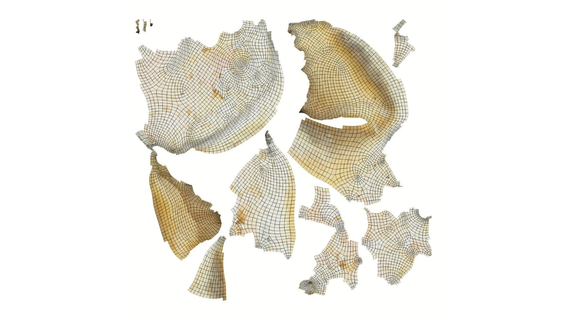White Seashell Raw Scanned 3D model_14