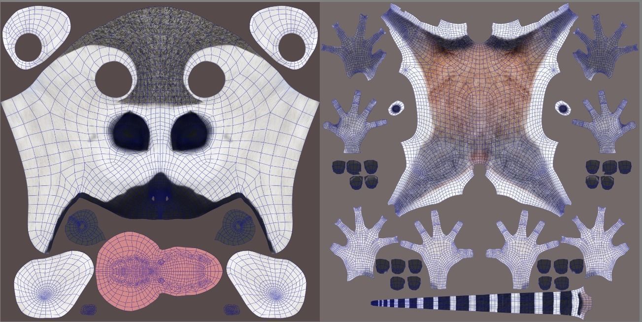 Ring Tailed Lemur Animated  VFX Grace 3D model_16