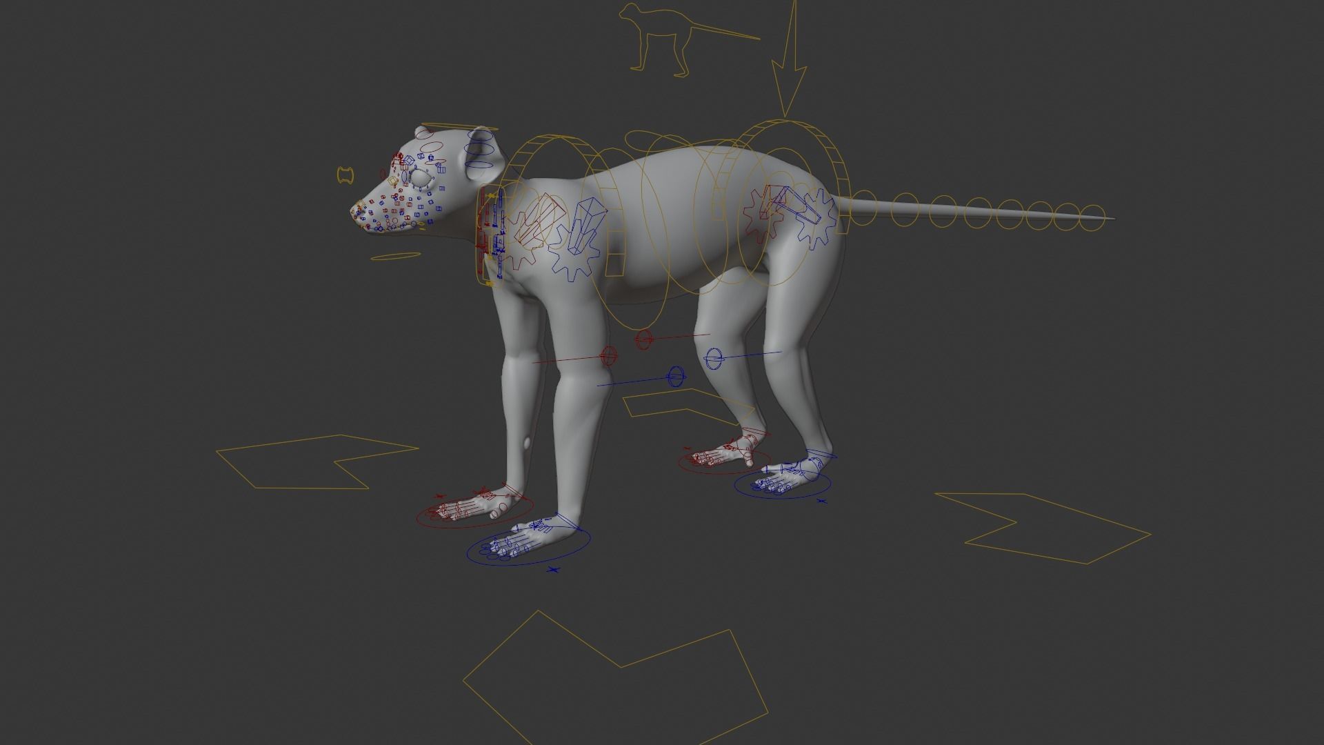 Ring Tailed Lemur Animated  VFX Grace 3D model_12