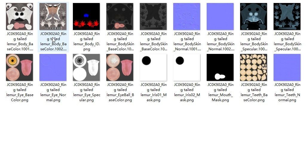 Ring Tailed Lemur Animated  VFX Grace 3D model_18