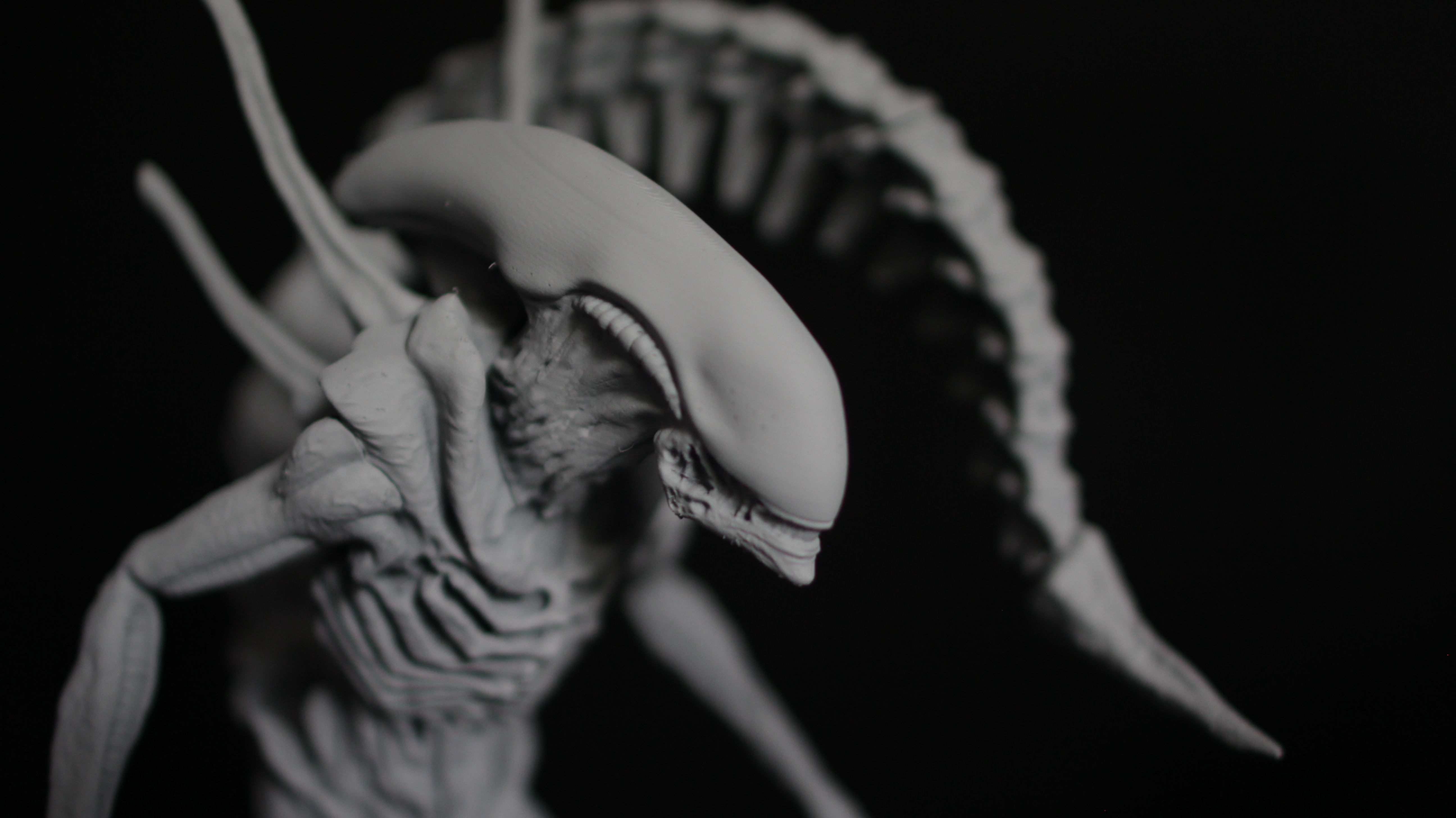 Alien Xenomorph Scout 3D Print Model 3D print model_2