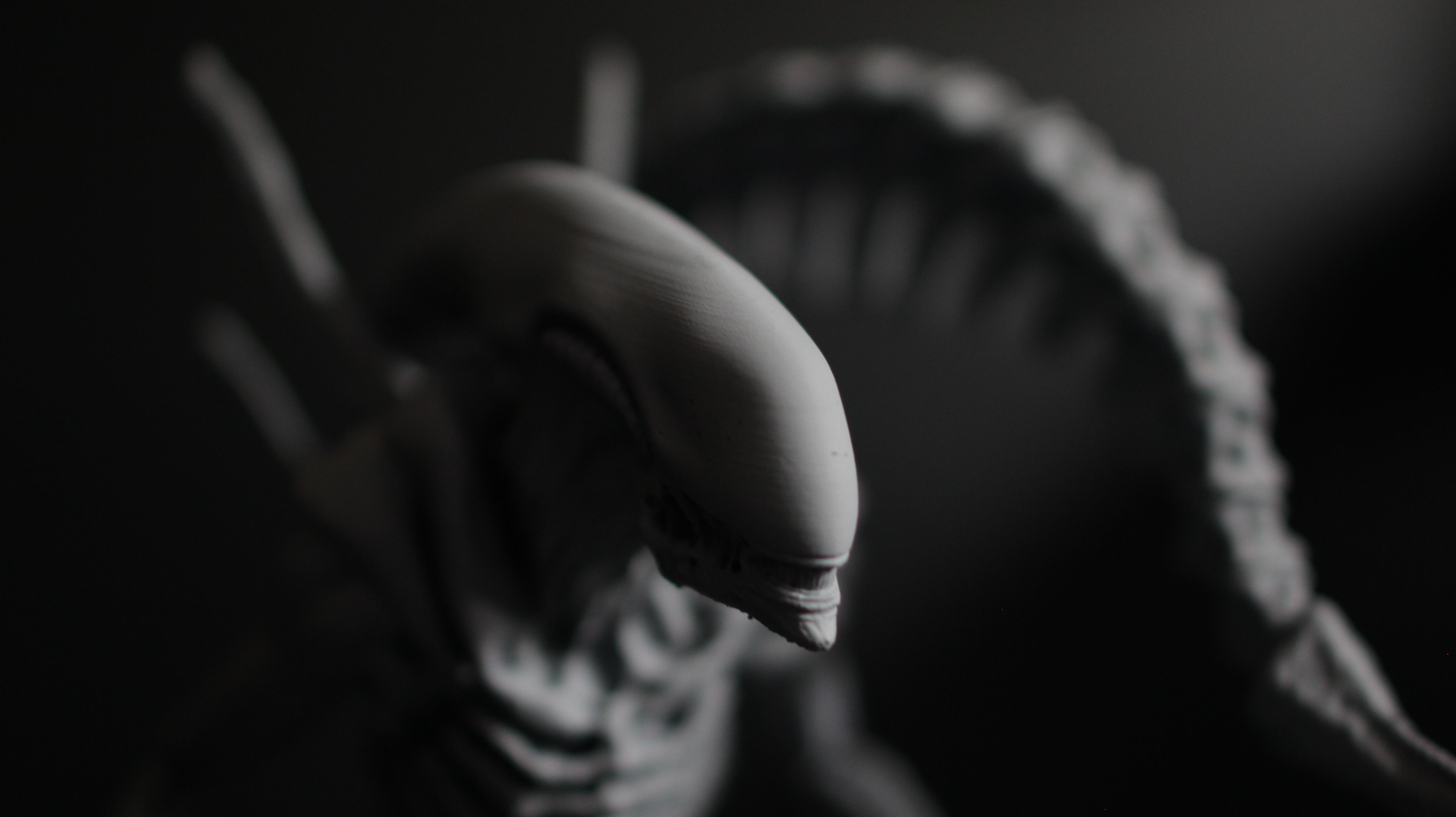 Alien Xenomorph Scout 3D Print Model 3D print model_10