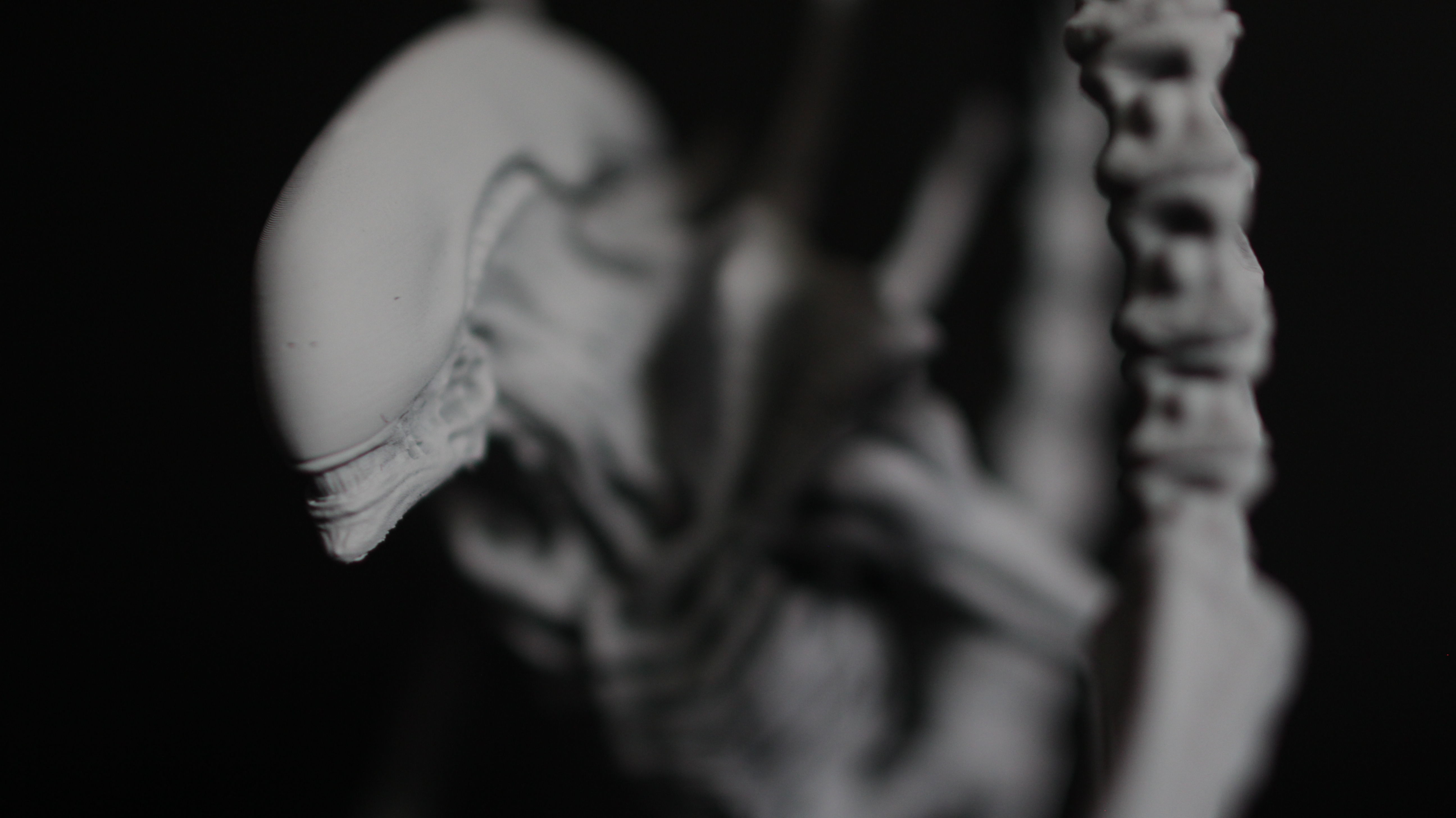 Alien Xenomorph Scout 3D Print Model 3D print model_8