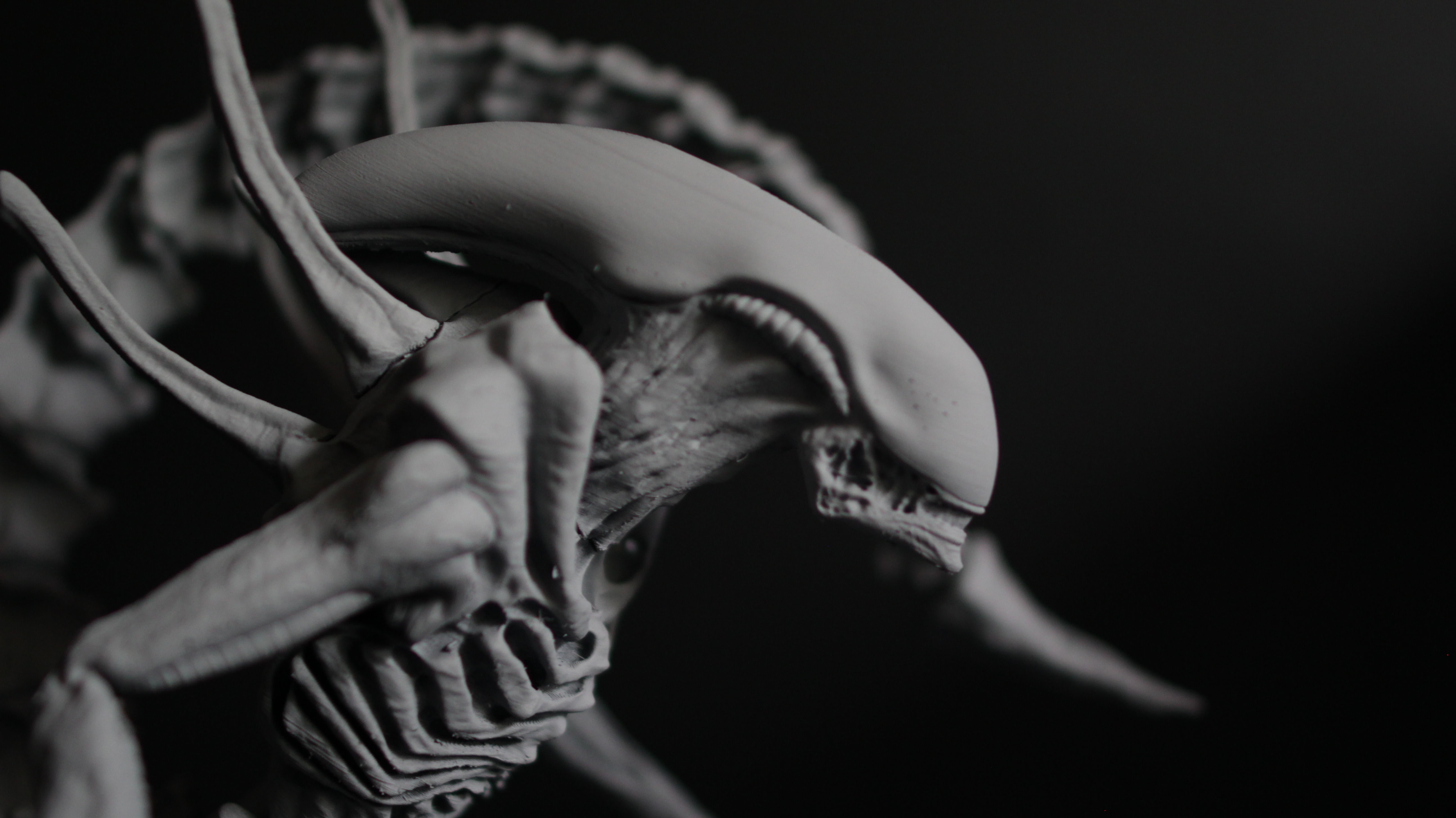 Alien Xenomorph Scout 3D Print Model 3D print model_4