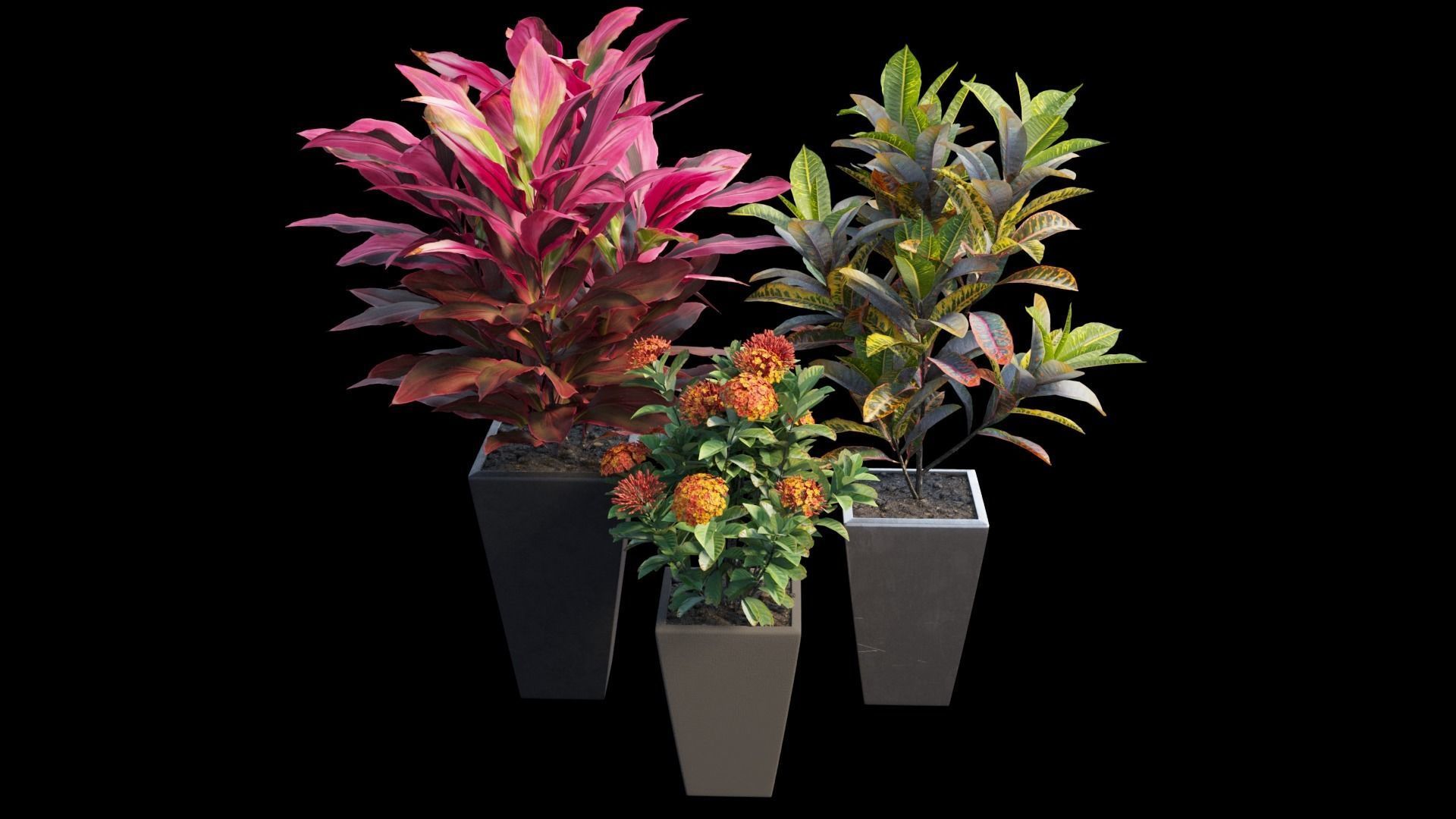 Pots and Planters set 01 3D model_5