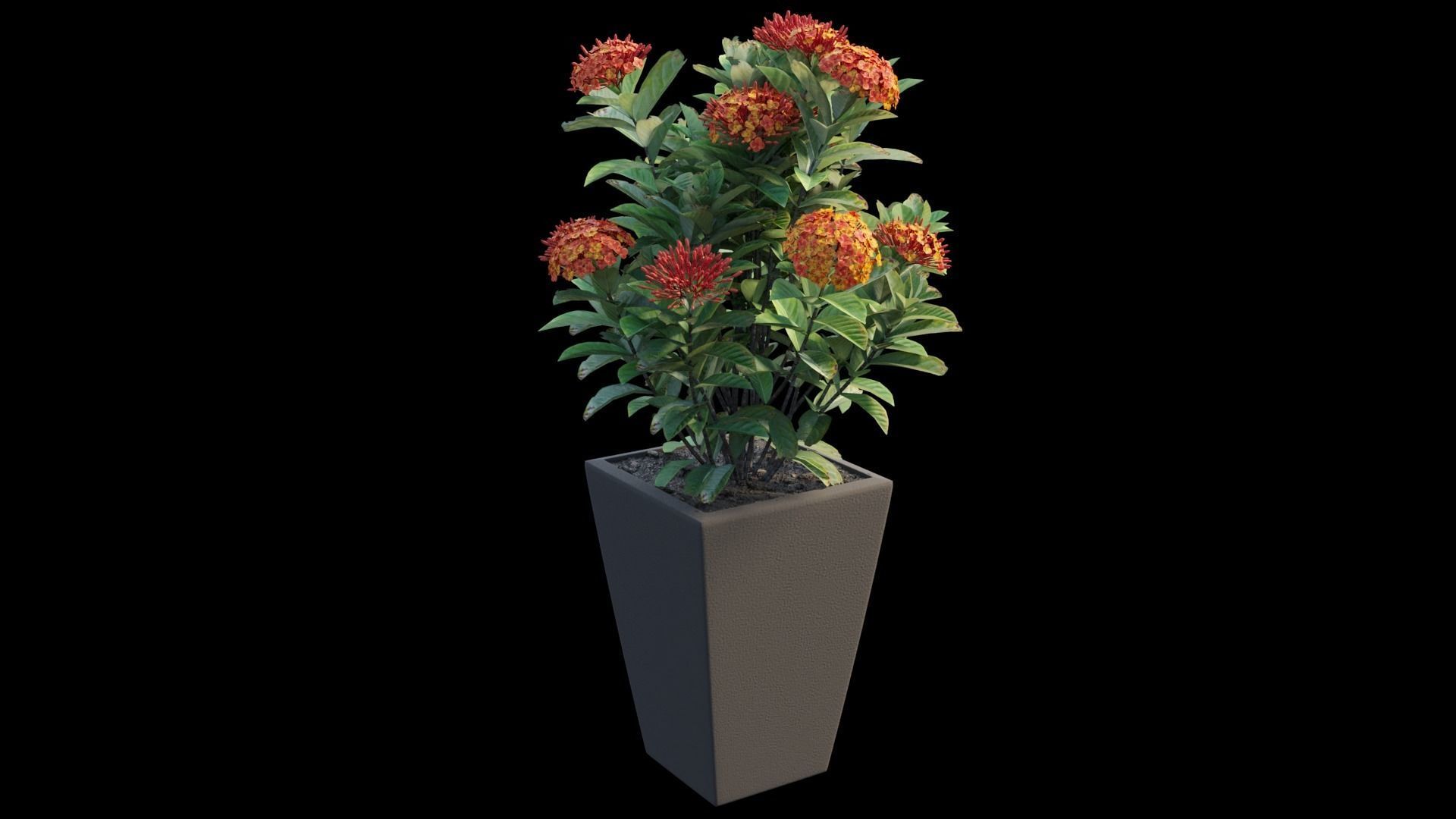 Pots and Planters set 01 3D model_9