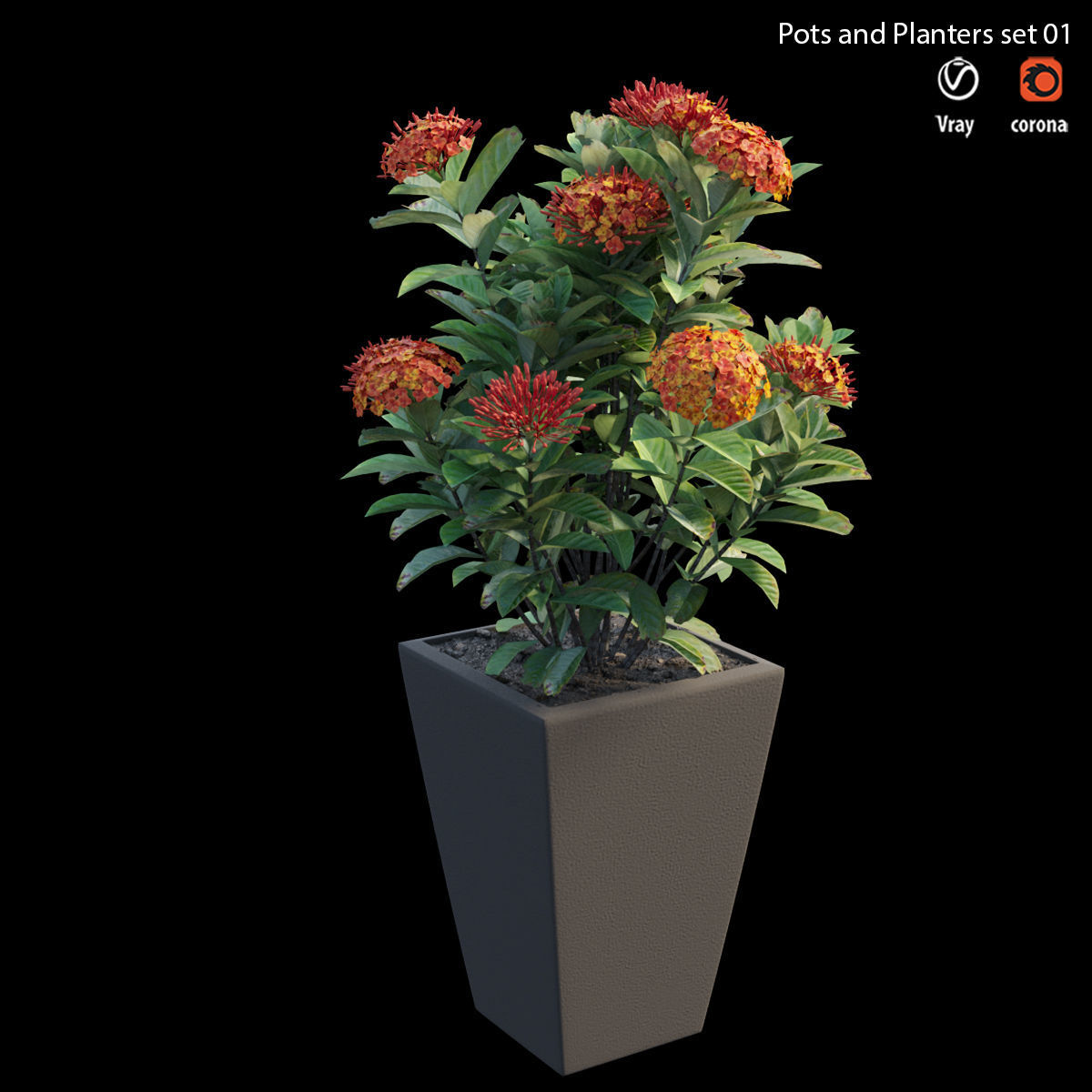 Pots and Planters set 01 3D model_2
